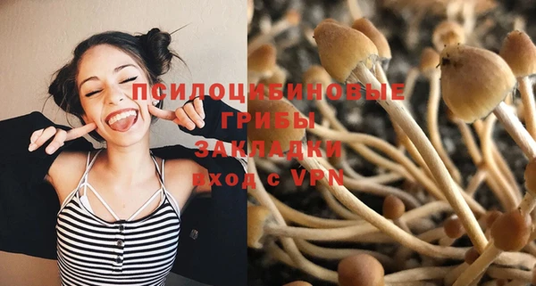 дурь Алексеевка