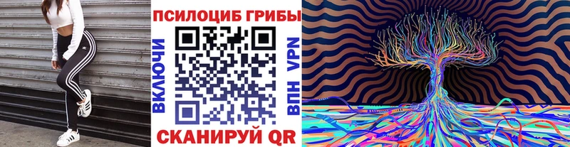 Псилоцибиновые грибы MAGIC MUSHROOMS  Боготол 